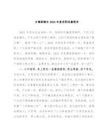 乡镇副镇长2022年度述职述廉报告