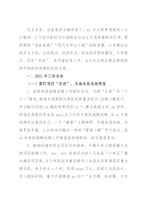 2021年工作总结及2022年发展思路（镇乡）
