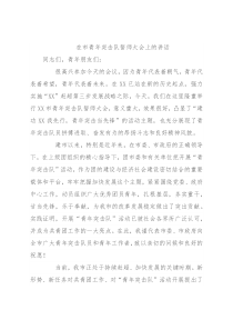 在市青年突击队誓师大会上的讲话