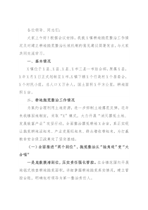 镇党委书记在全市耕地抛荒整治工作会议上的发言