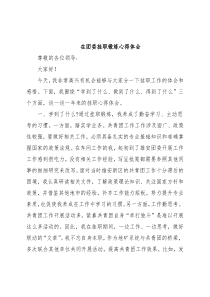 在团委挂职锻炼心得体会