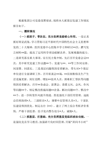 2022年抓基层党建述职报告（集团公司党委书记）