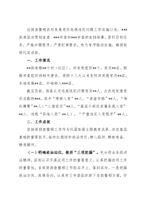 某街道排查整顿农村发展党员违规违纪问题工作的总结