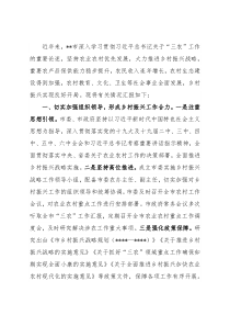 市乡村振兴战略实施情况汇报