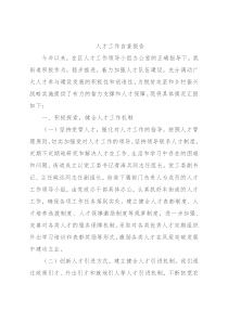 人才工作自查报告