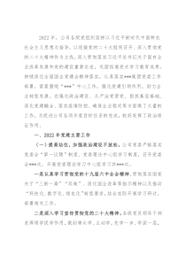国有企业2022年党建工作总结和2023年工作思路