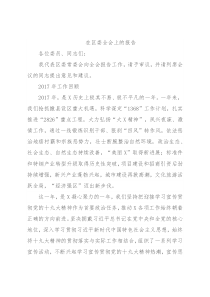 在区委全会上的报告
