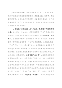 组织工作服务乡村振兴座谈发言