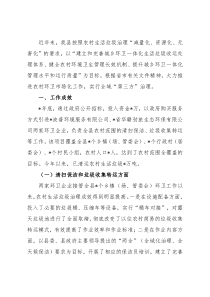 县农村生活垃圾治理工作总结