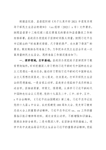 县政府办党组2021年专题民主生活会准备工作情况报告