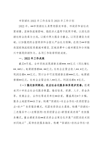 市供销社2022年工作总结及2023年工作计划