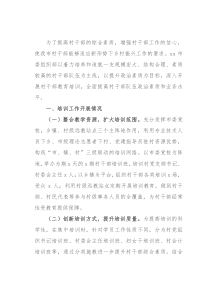 村干部培训情况报告