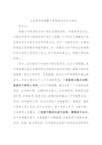 X县级市新调整干部集体谈话会议讲话2
