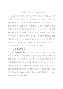 市2023年未成年人保护工作要点