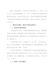 乡镇2022年基层党建工作计划