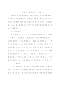 县2020年发展党员工作总结