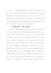2021年度社会治安综合治理工作总结