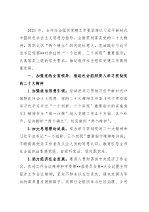 市社会组织2023年党建工作要点