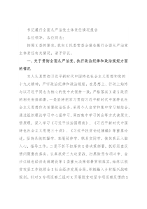 书记履行全面从严治党主体责任情况报告