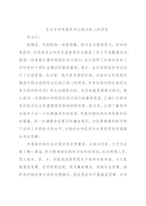 在全市村党组织书记培训班上的讲话2