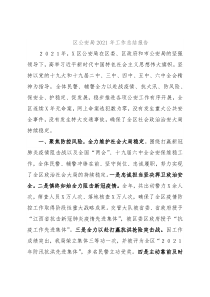 区公安局2021年工作总结报告