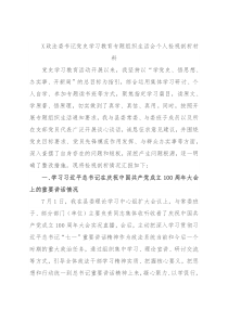 X政法委书记党史学习教育专题组织生活会个人检视剖析材料