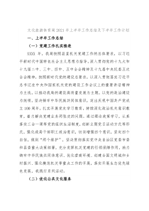 文化旅游体育局2021年上半年工作总结及下半年工作计划