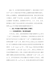 关于乡村振兴战略实施情况的报告（区县）