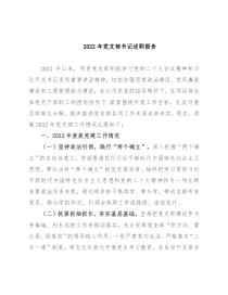 2022年党支部书记述职报告