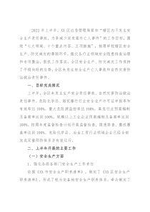 应急管理局2022年度上半年工作总结暨下半年工作谋划