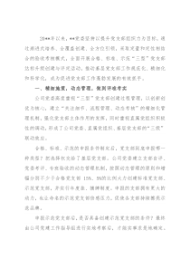 国企党建经验交流：创建示范支部 激发基层活力