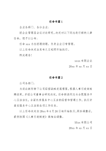 公司任命书