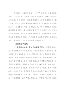 镇人居环境整治工作总结
