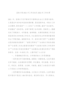 县统计局2021年工作总结及2022年工作打算