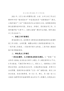 区公安分局2021年工作总结