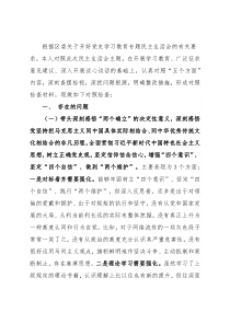 党工委书记党史学习教育专题民主生活会对照检查材料