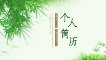 求职竞聘 、个人简历模板（PPT）