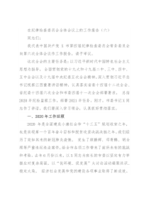 在纪律检查委员会全体会议上的工作报告（六）