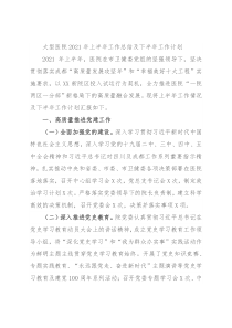 大型医院2021年上半年工作总结及下半年工作计划