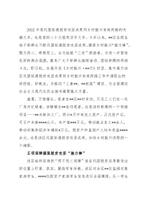 全区巩固拓展脱贫攻坚成果同乡村振兴有效衔接工作综述