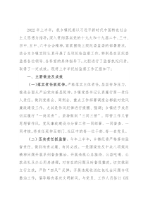 某乡镇（街道）2022年上半年纪检监察工作总结