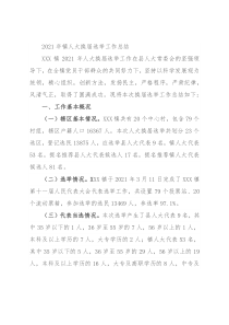 2021年镇人大换届选举工作总结