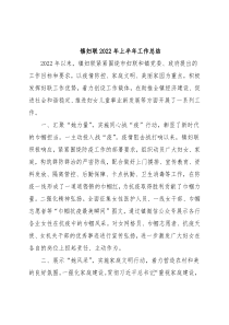 镇妇联2022年上半年工作总结