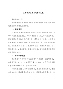 XX市防汛工作开展情况汇报