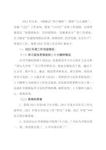 乡镇2022年度工作总结