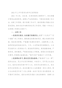 2021年上半年度党支部书记述职报告