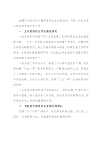 2022年度组织生活会党支部委员会年度工作报告